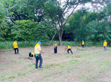 กิจกรรมปลูกต้นไม้เฉลิมพระเกียรติพระบาทสมเด็จพระเจ้าอยู่หัว ... พารามิเตอร์รูปภาพ 11